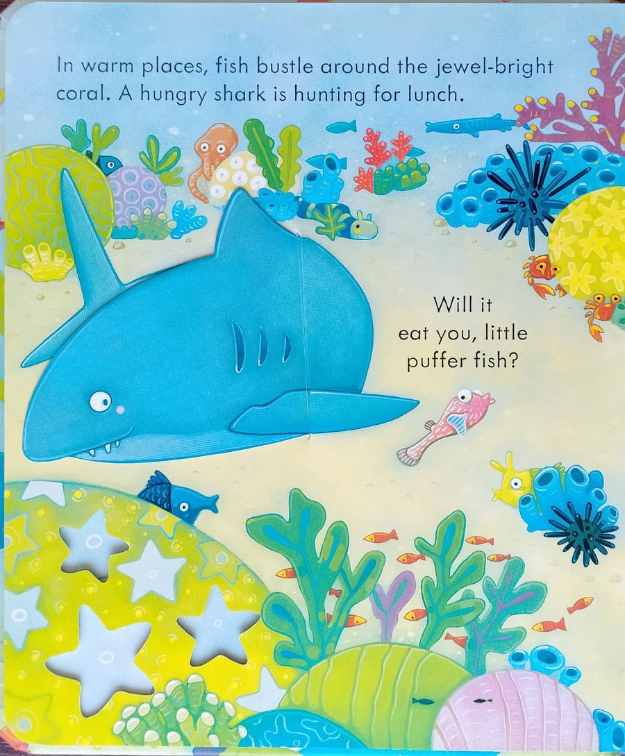 Usborne Peep Inside The Sea