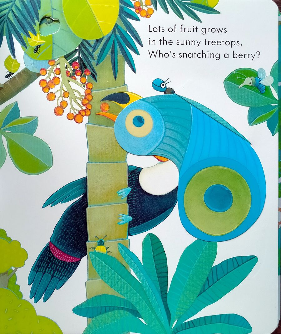 Usborne Peep Inside the Jungle