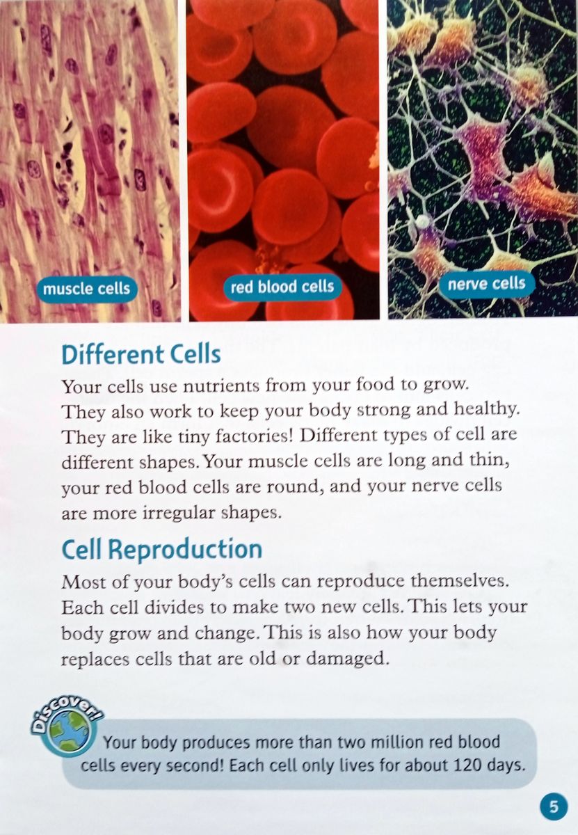 Oxford Read and Discover 6 Your Amazing Body with Audio Download (access card inside)