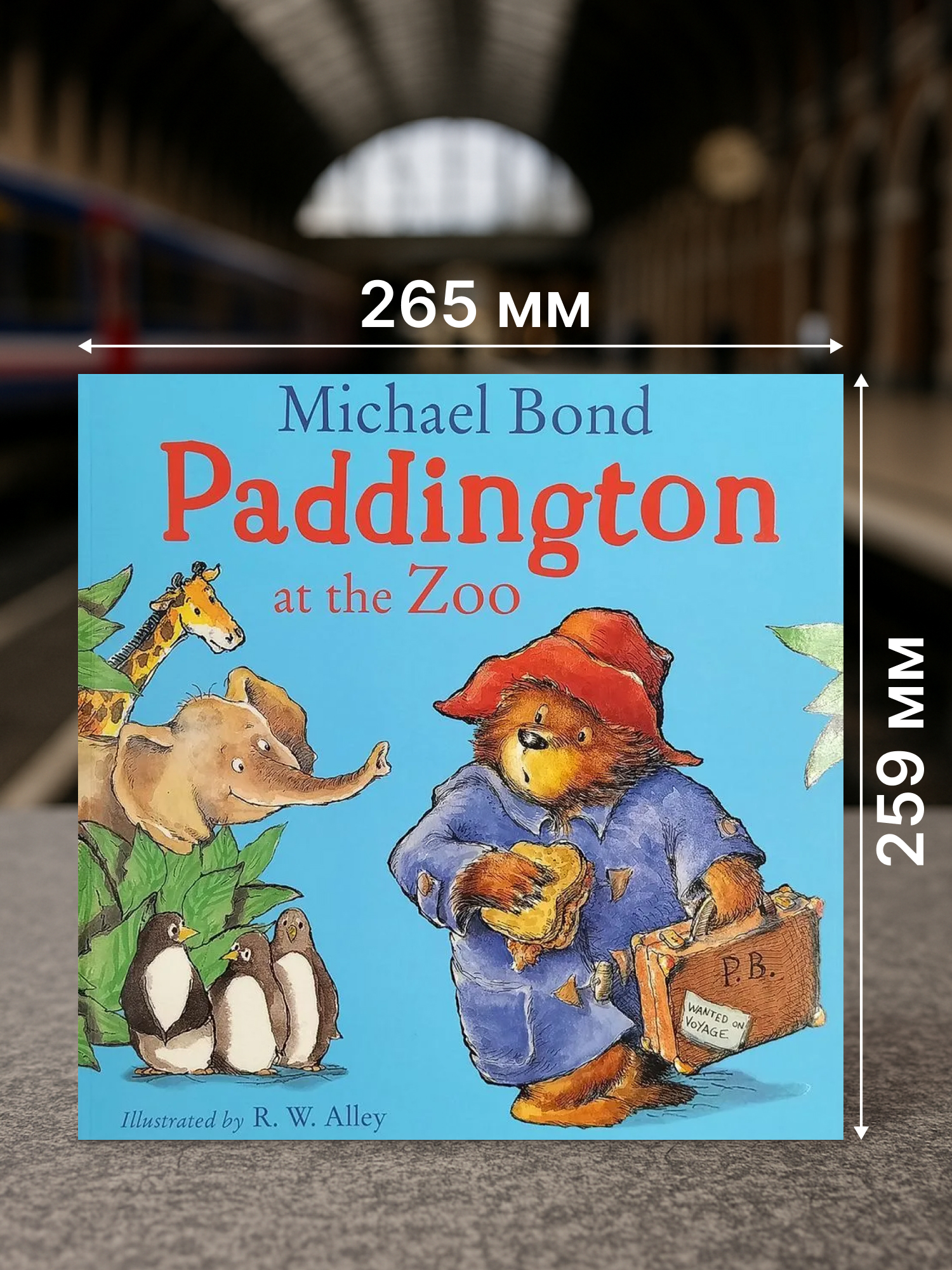 Paddington at the Zoo