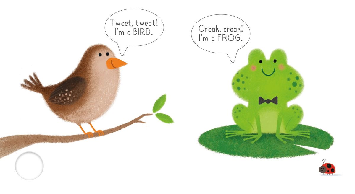 Usborne Very First Words Library Garden