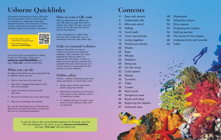 Usborne First Encyclopedia of Seas and Oceans Hardback