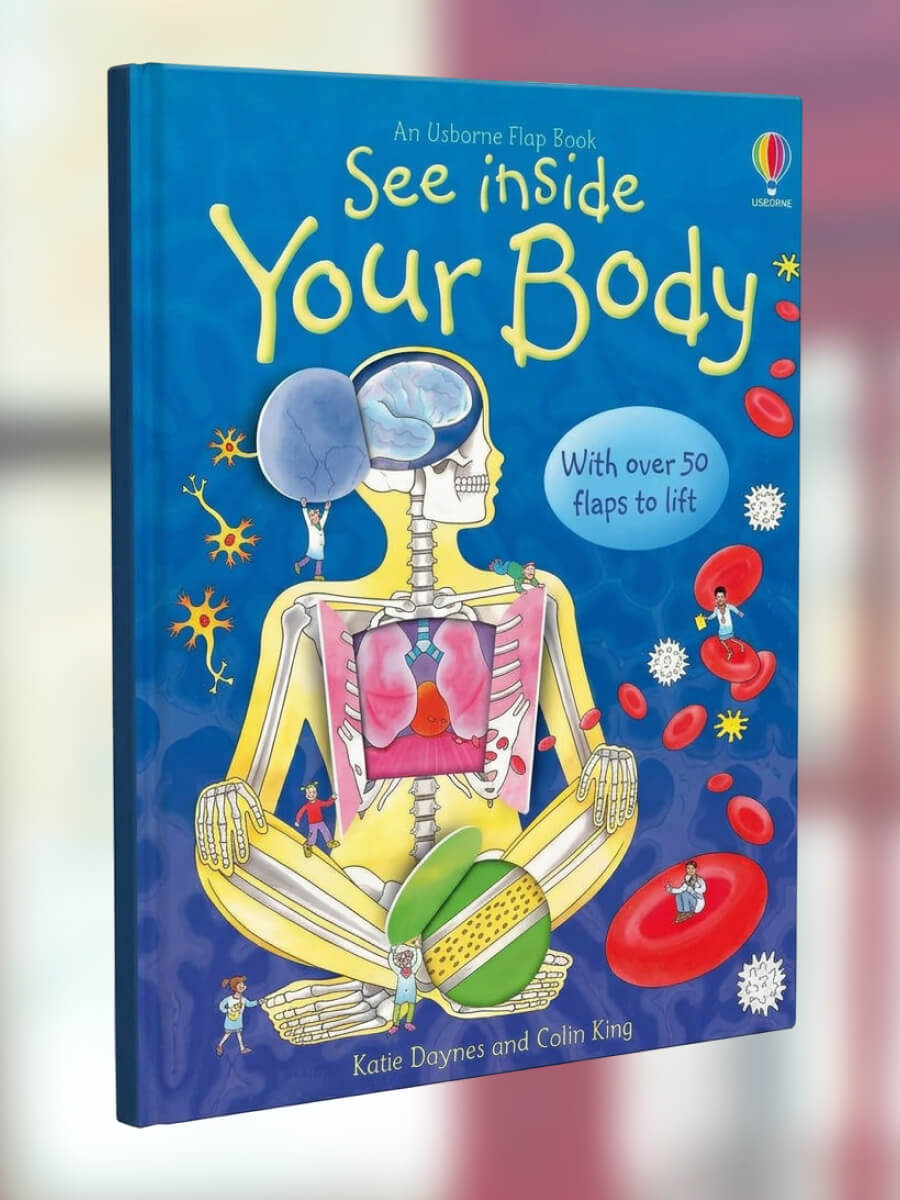 An Usborne Flap Book See Inside Your Body
