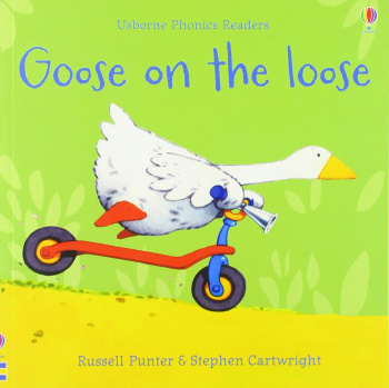 Usborne Phonics Readers Goose On The Loose