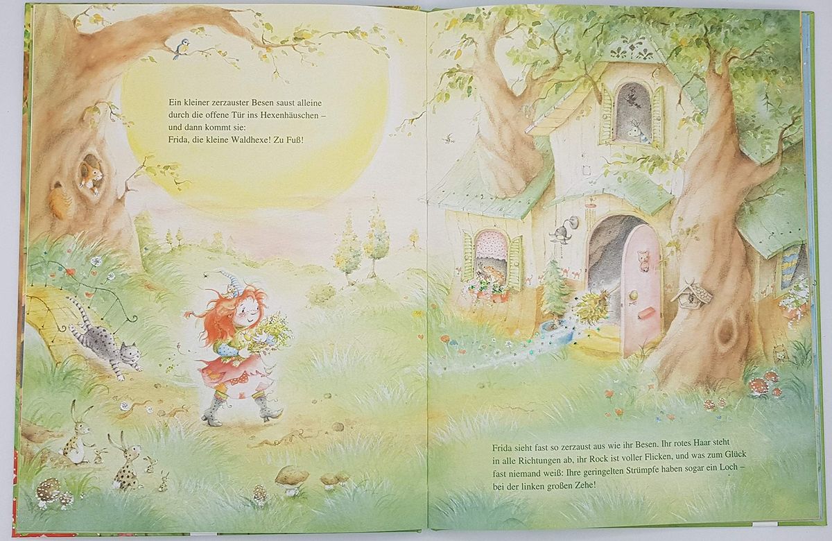 Frida die kleine Waldhexe Hexenspruch und Echsenspeck