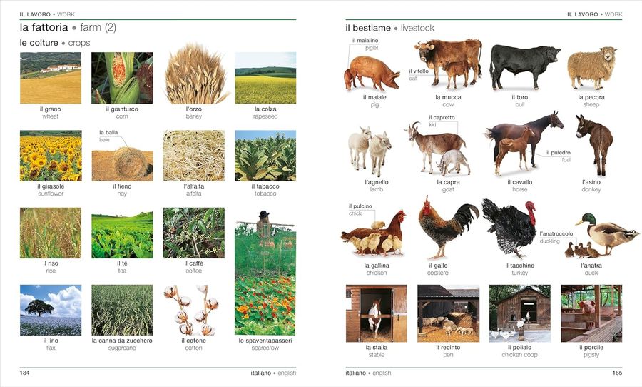 Italian-English Bilingual Visual Dictionary with Free Audio App