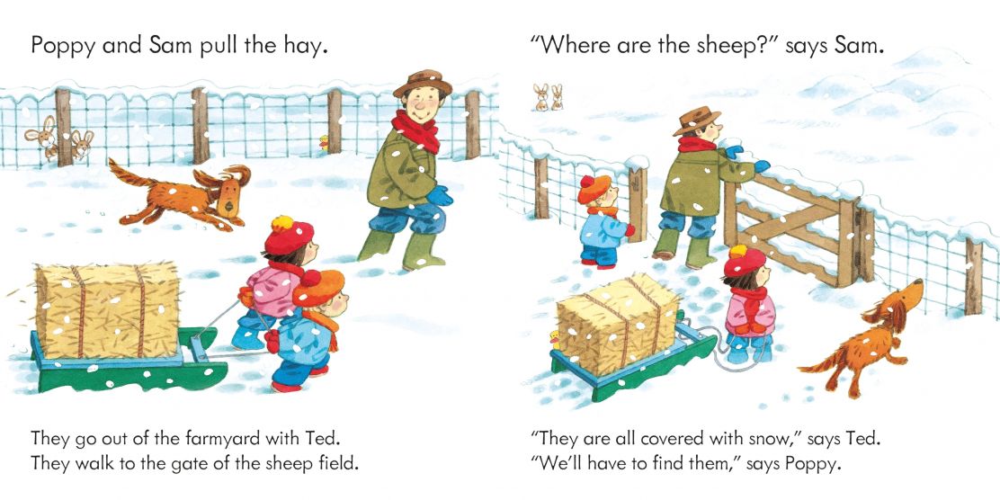 Usborne Farmyard Tales Poppy and Sam The Snow Storm