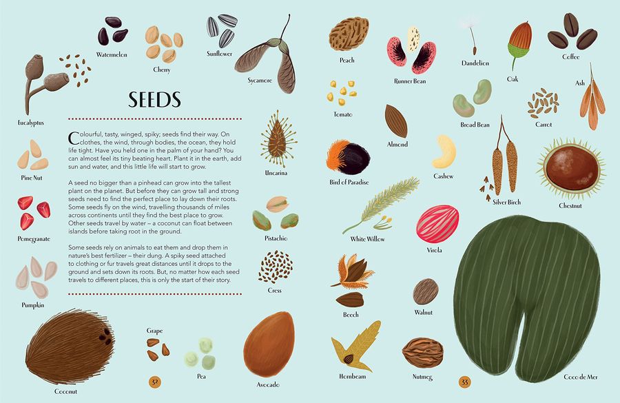 Nature A Magical Journey Through the Year