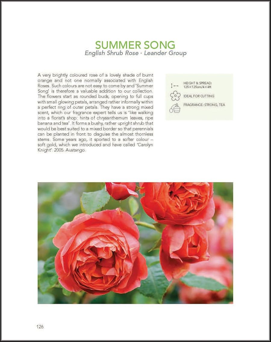 David Austin's English Roses