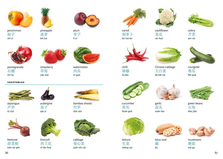 Collins Mandarin Chinese Visual Dictionary