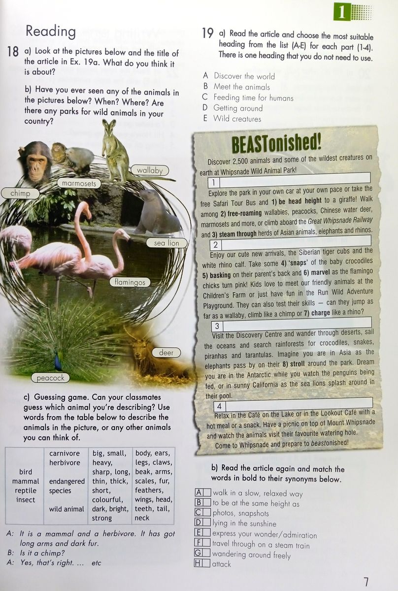 Click On 3 Workbook (Student's)