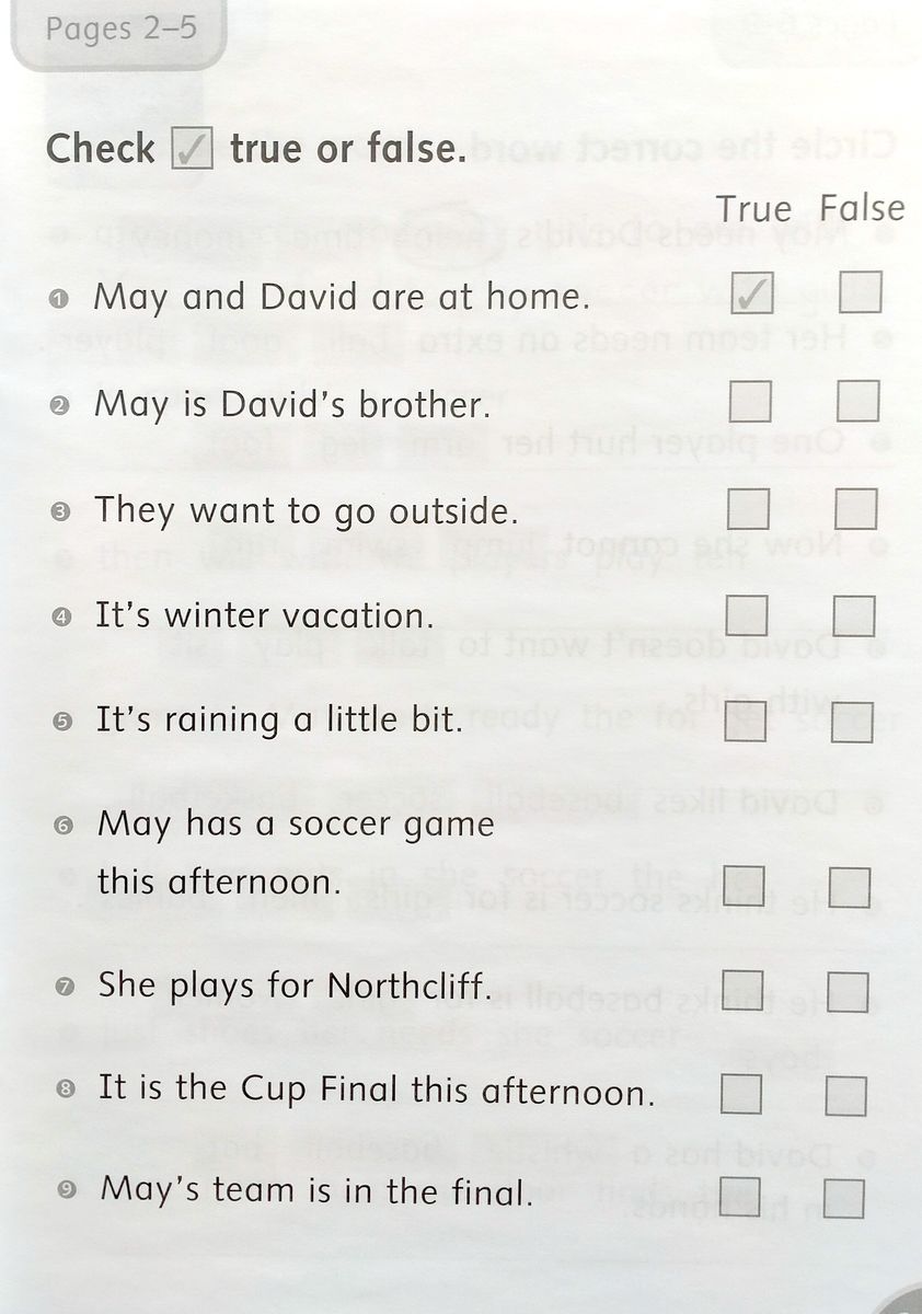 Dolphin Readers 4 We Won the Cup Activity Book