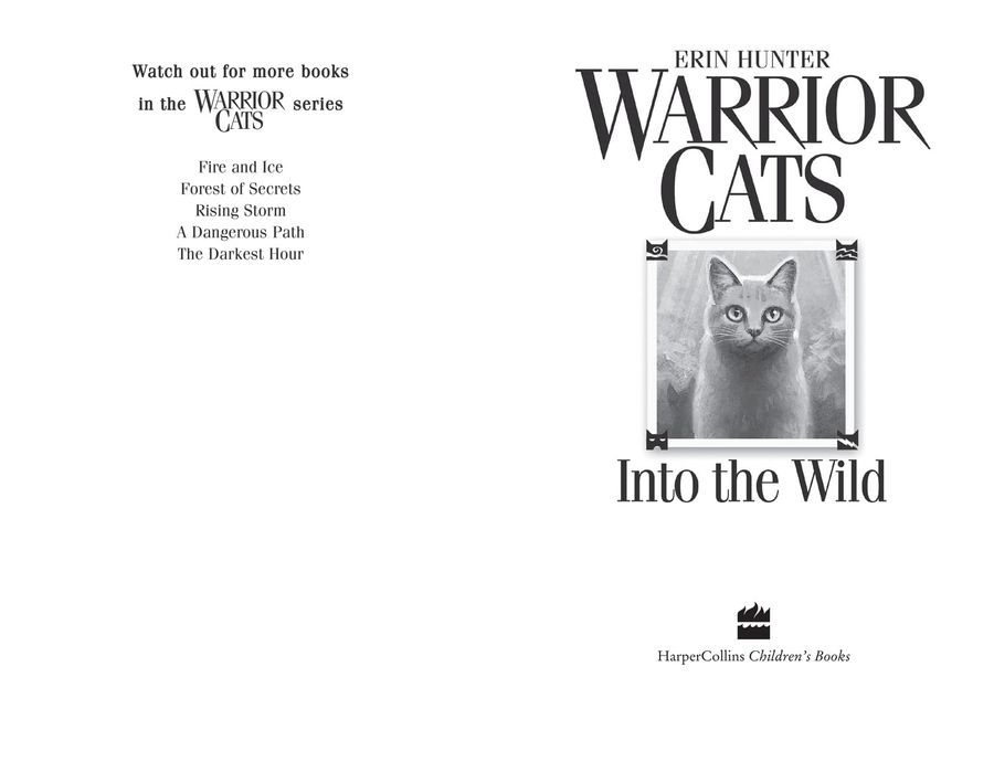 Warriors 1 Into the Wild