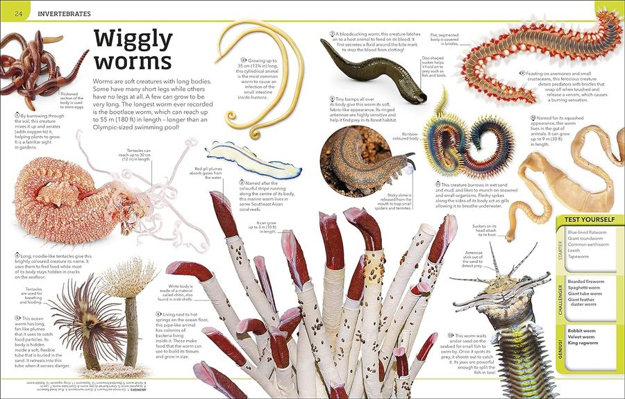 Animal Knowledge Genius A Quiz Encyclopedia to Boost Your Brain