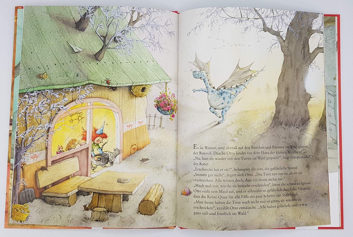Frida die kleine Waldhexe Platzchenzauber, Kuchenstuck