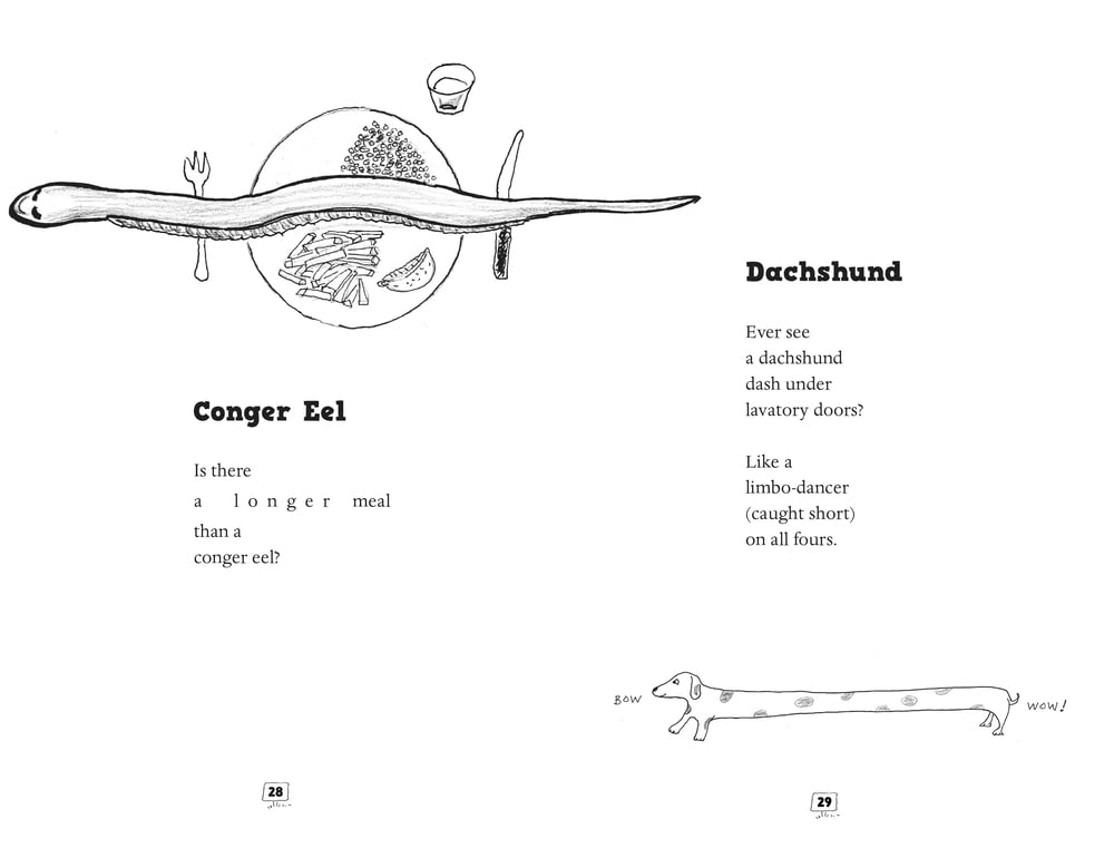 An Imaginary Menagerie Poems and Drawings
