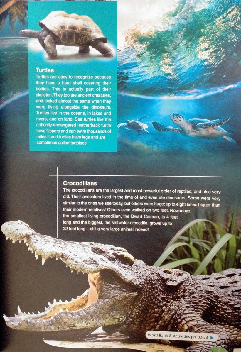 Discover Our Amazing World Saltwater Crocodiles with Digibook