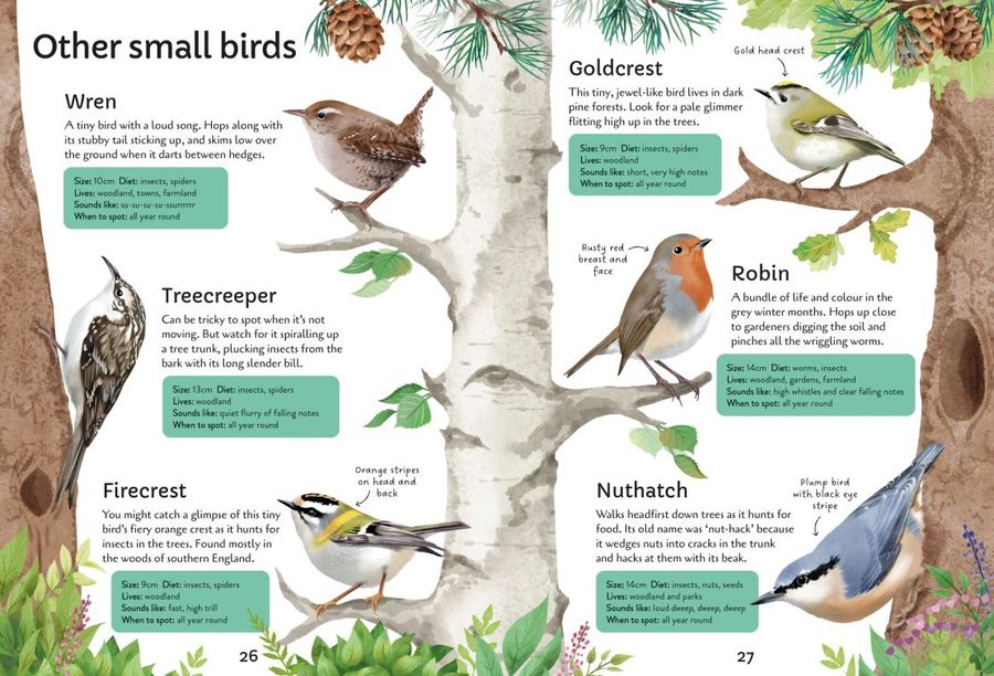 New Spotter's Guides Birds