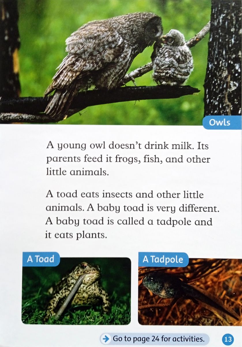 Oxford Read and Discover 1 Young Animals