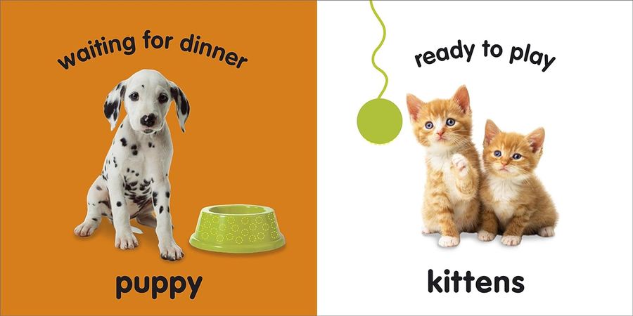 Touch and Feel Baby Animals