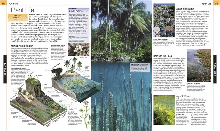 Ocean The Definitive Visual Guide
