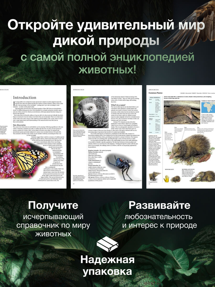 Encyclopedia of Animals