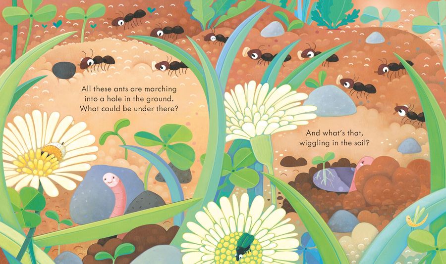 Usborne Peep Inside Under the Ground