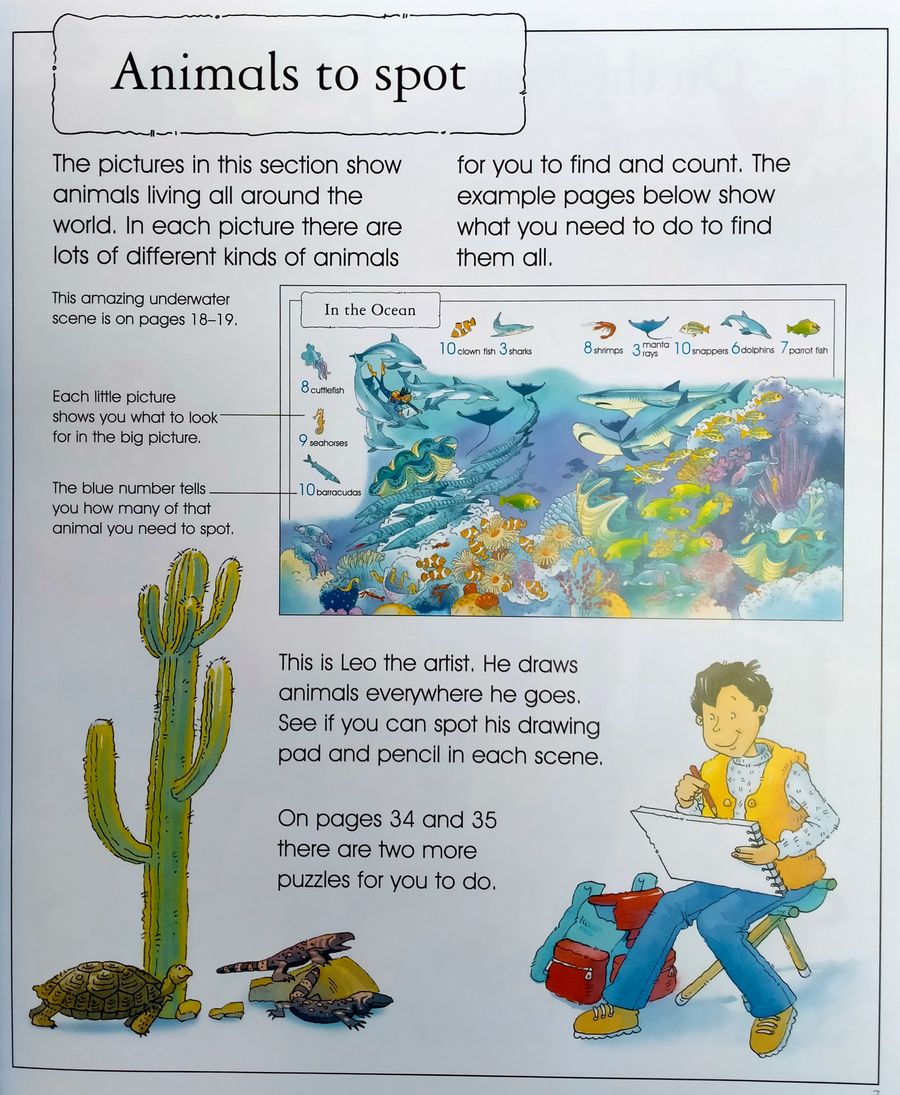 The Usborne Big Book of Things to Spot