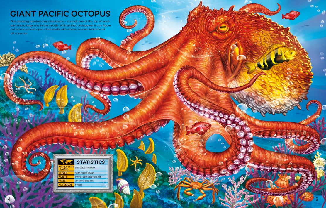 Usborne Build Your Own Sea Creatures