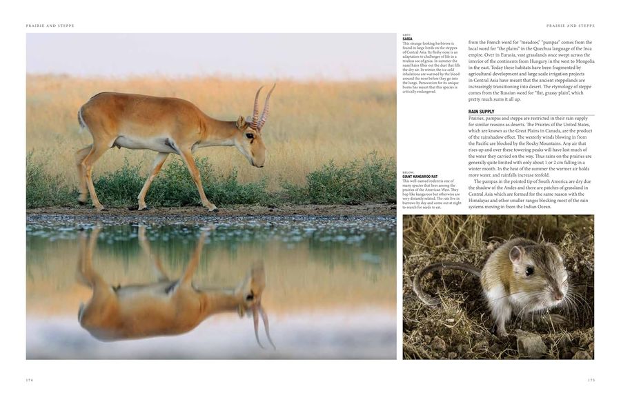 Natural History of the World A Photographic Exploration of Earth's Animals, Plants and Landscapes