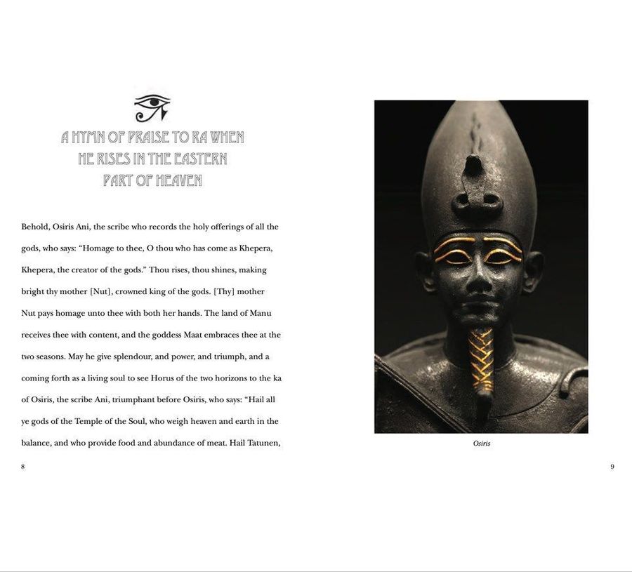 The Egyptian Book of the Dead