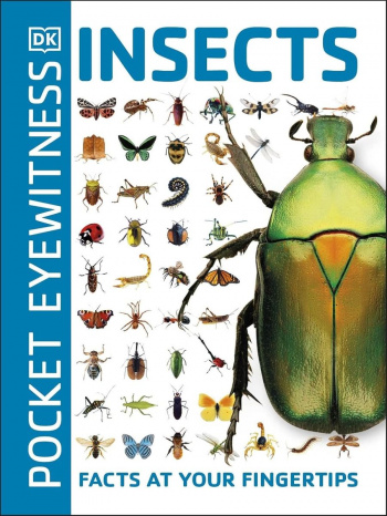 Pocket Eyewitness Insects Facts at Your Fingertips