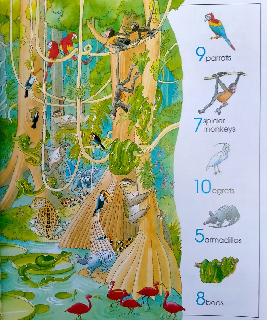 The Usborne Big Book of Things to Spot