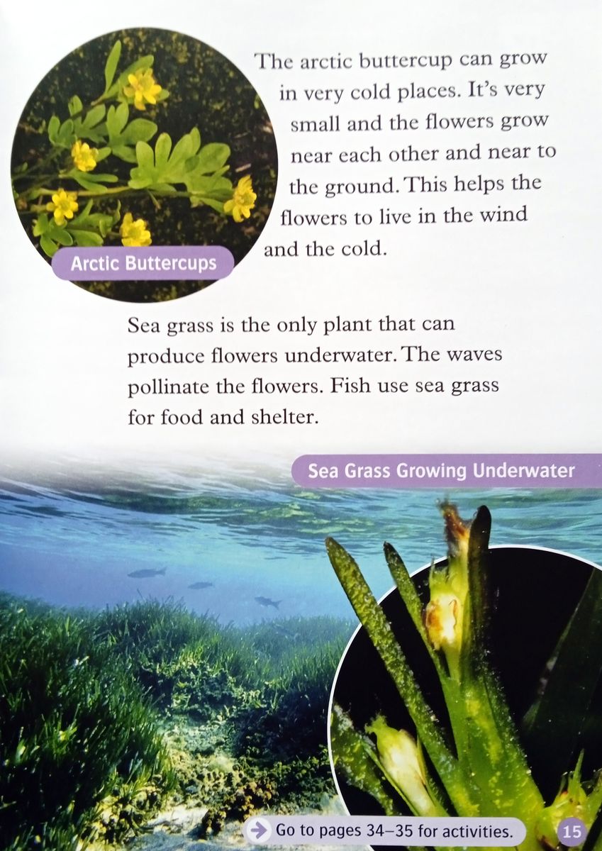 Oxford Read and Discover 4 All About Plants