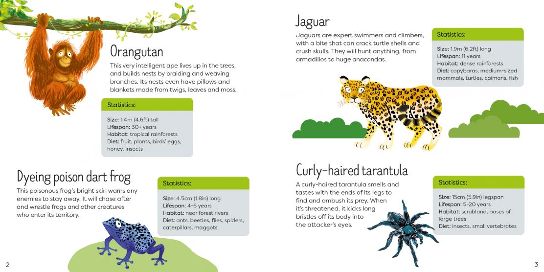 Usborne Book and Jigsaw Wild Animals