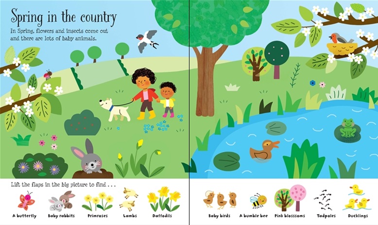 Lift-the-Flap Seasons and Weather