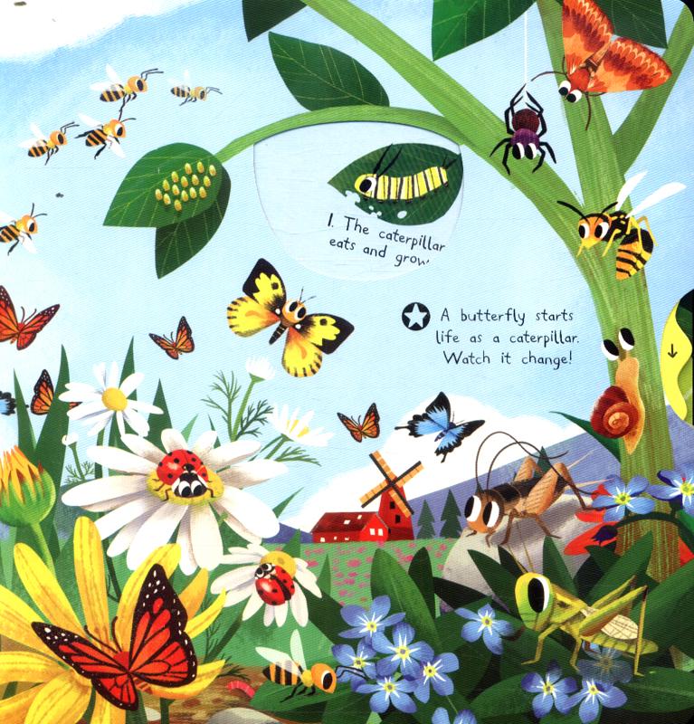 First Explorers: Brilliant Bugs