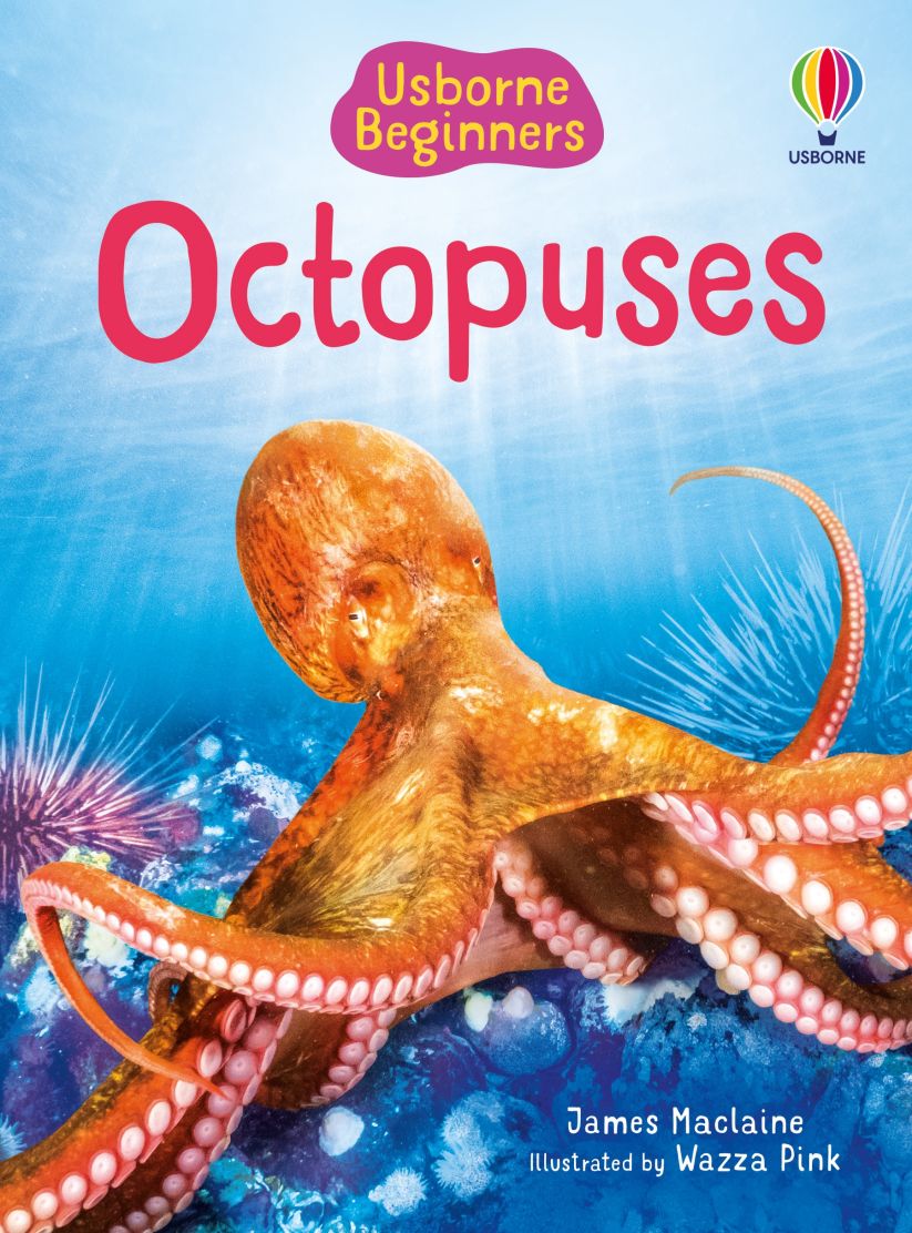Usborne Beginners Octopuses