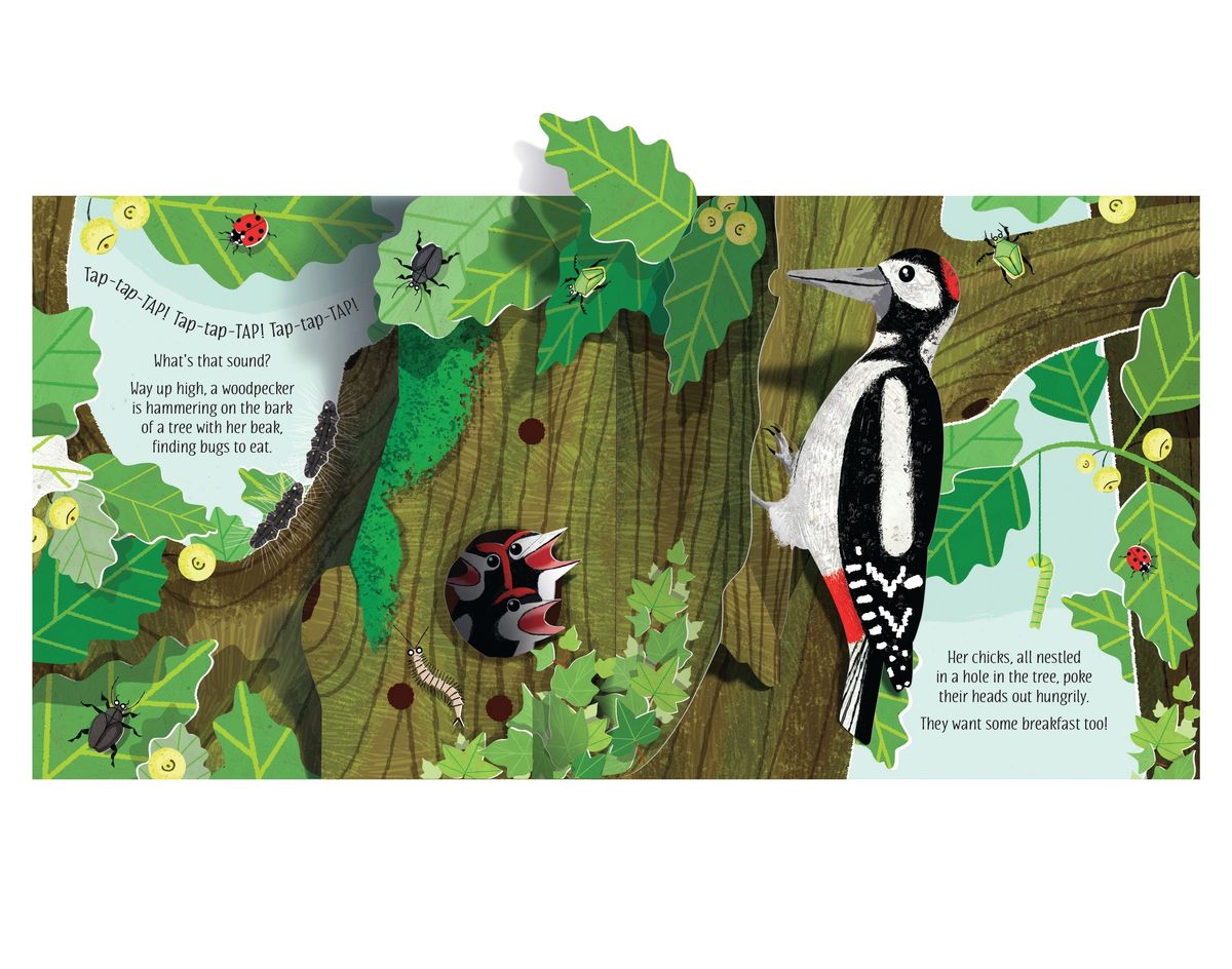 Usborne Pop-Up Nature