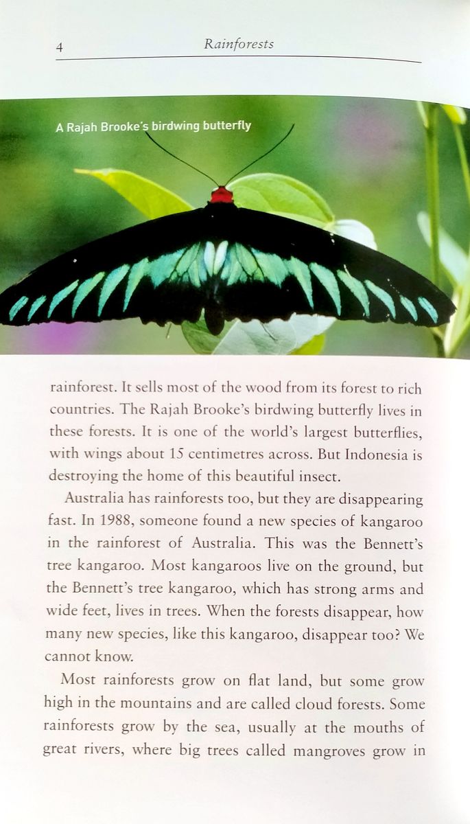 Oxford Bookworms Factfiles 2 Rainforests