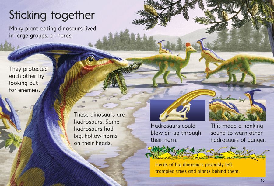 Usborne Beginners Dinosaurs