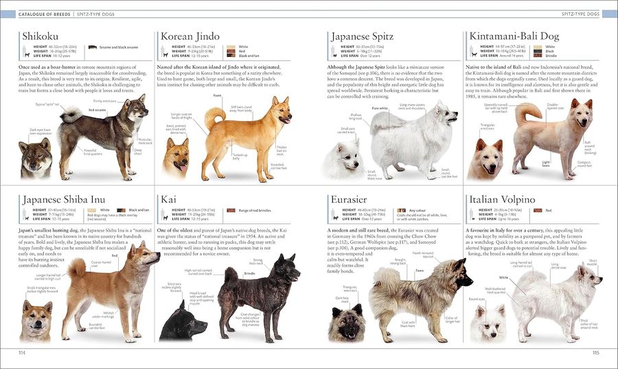 The Dog Encyclopedia The Definitive Visual Guide
