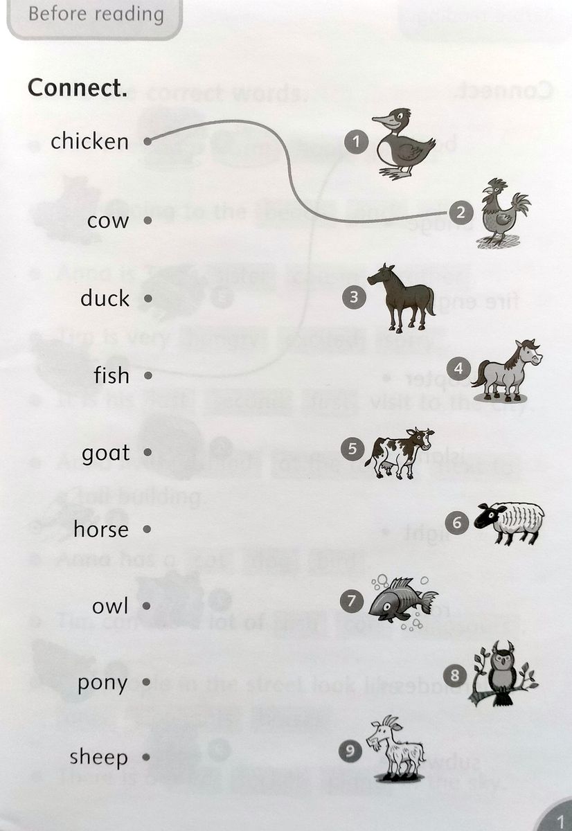 Dolphin Readers 4 City Girl, Country Boy Activity Book