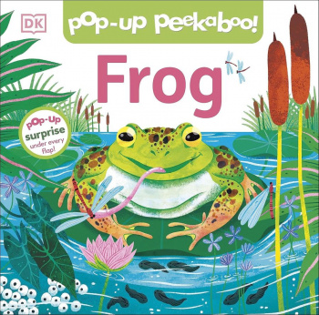 Pop-Up Peekaboo Frog