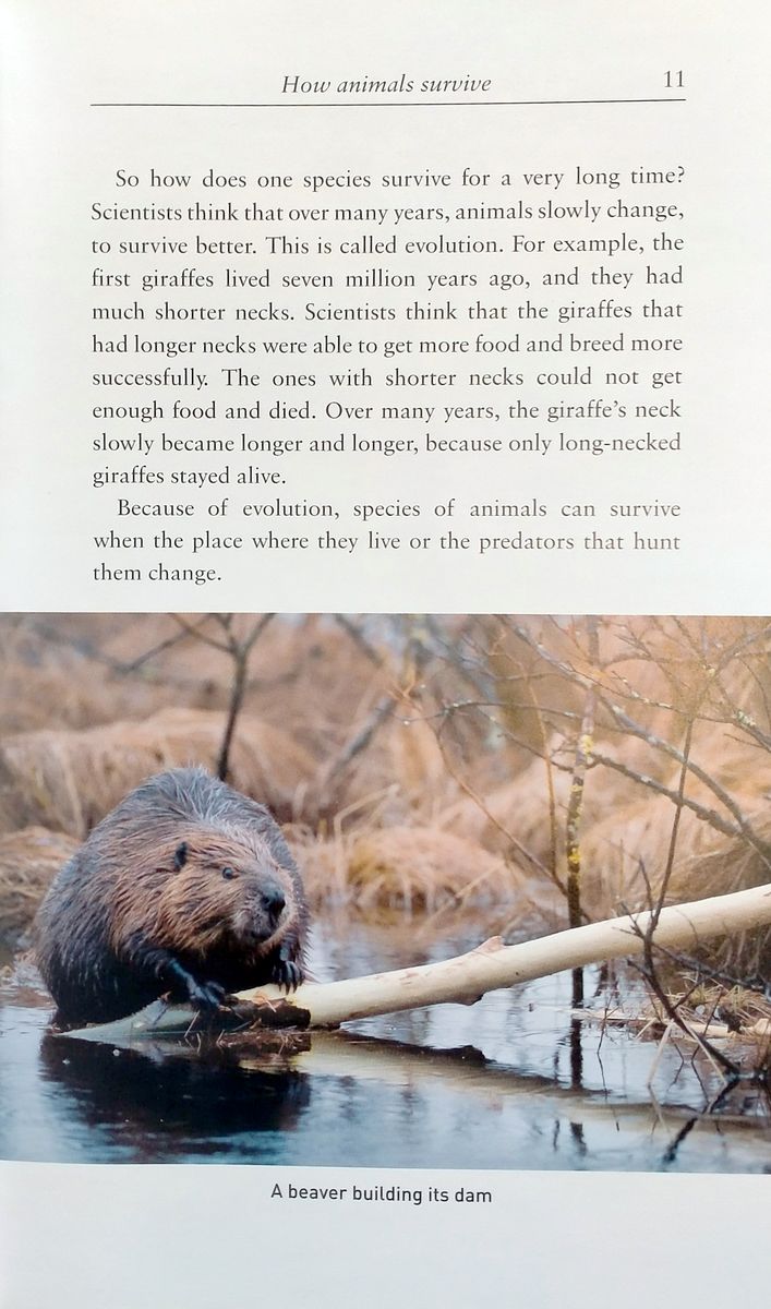 Oxford Bookworms Factfiles 3 Animal Kingdom with Audio Download (access card inside)