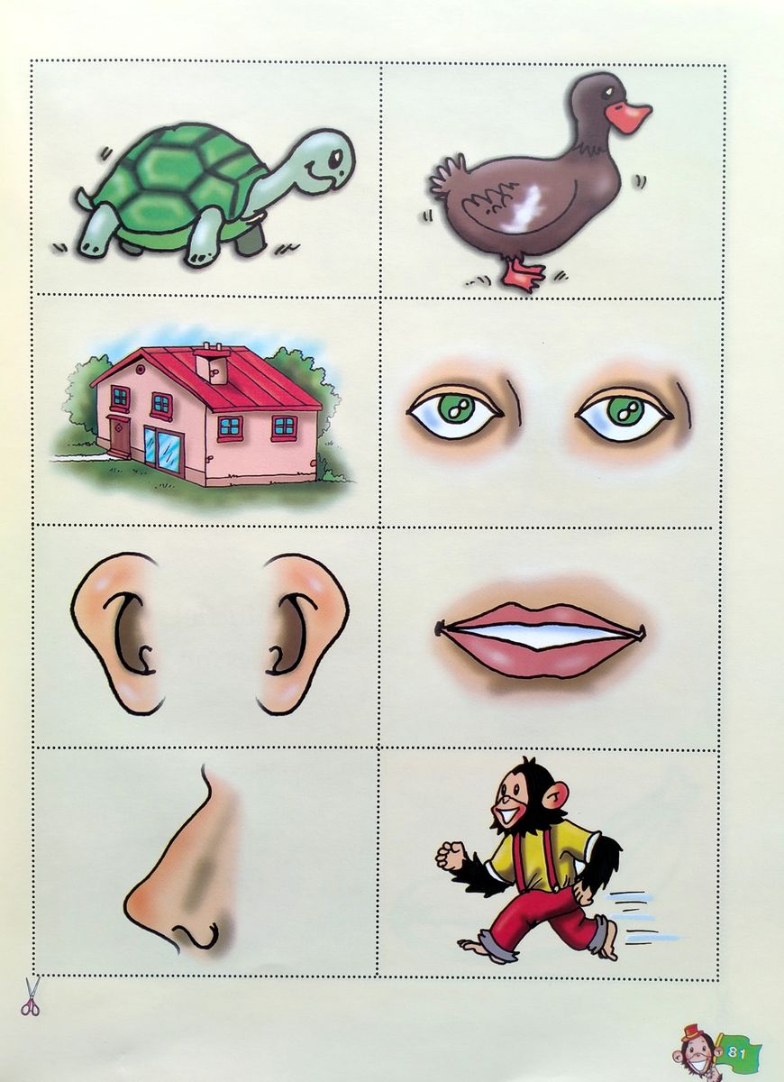 Set Sail! 1 Activity Book (Student's)