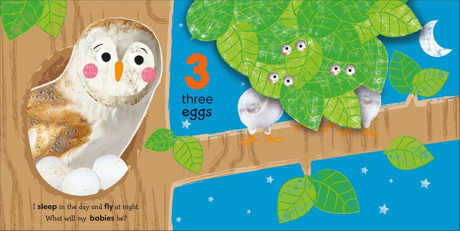 Flip, Flap, Find! Counting 1, 2, 3 Lift the Flaps and Count to 10