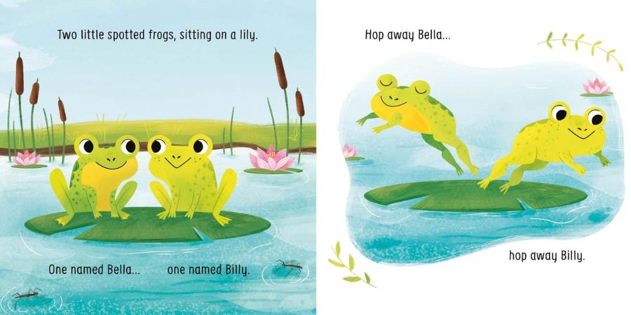 Usborne Little Board Books Two little dickie birds sitting on a wall