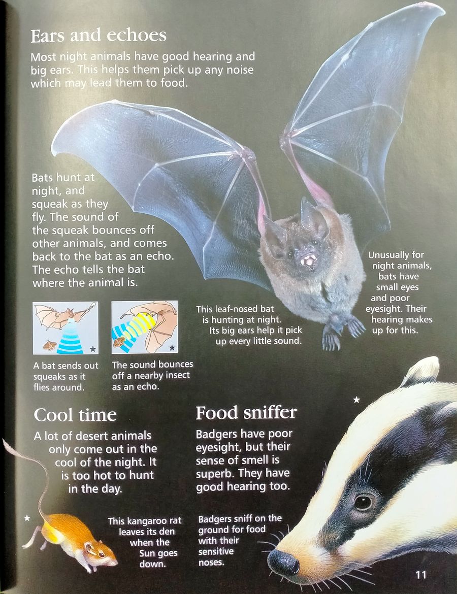 Usborne First Encyclopedia of Animals