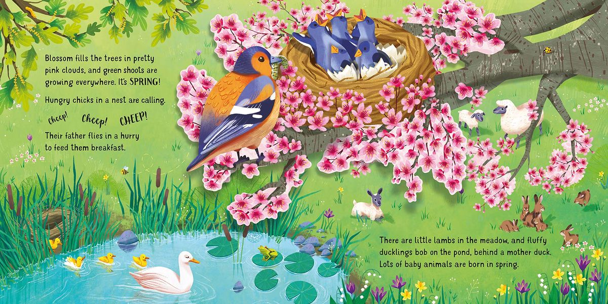 Usborne Pop-Up Seasons